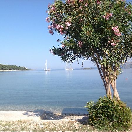 Apartment Biserka Cavtat Oda fotoğraf